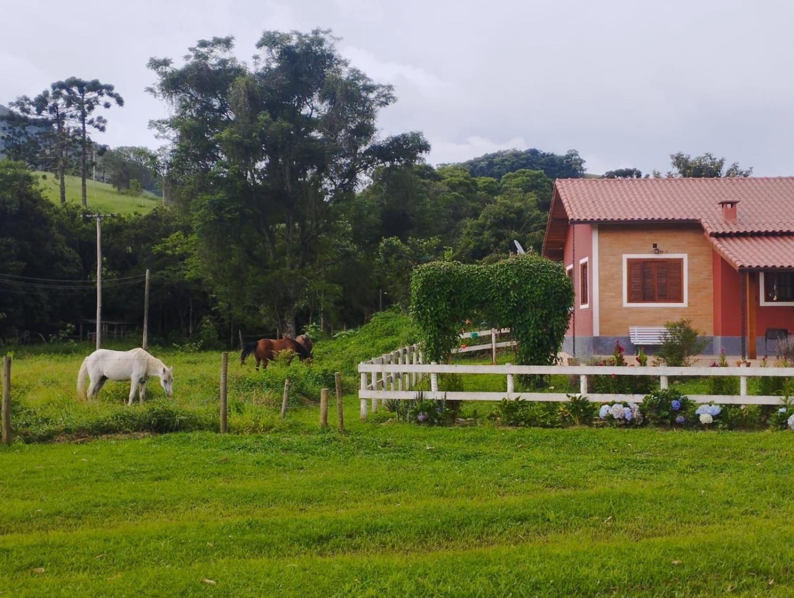 Encanto Da Pedra Visconde De Maua Rum bild